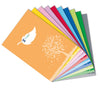 Coprimaxi Colorosa Green 21X30Cm C/Tasche Grigio Riplast