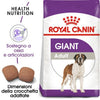 Royal Canin Giant Adult Croccantini per Cani Adulti 4kg
