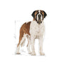 Royal Canin Giant Adult Croccantini per Cani Adulti 4kg