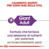 Royal Canin Giant Adult Croccantini per Cani Adulti 4kg