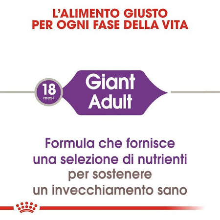 Royal Canin Giant Adult Croccantini per Cani Adulti 4kg
