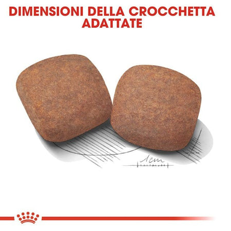 Royal Canin Giant Adult Croccantini per Cani Adulti 4kg
