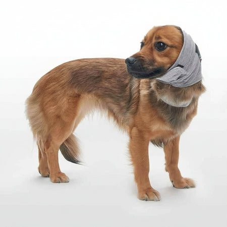 Dog Line Paraorecchie Post-Operatorio Grigio per Cani