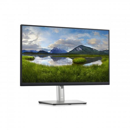 P2423D - LED monitor - 23.8"