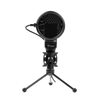 Microfono a Condensatore M100 - USB- treppiede- filtro antipop e spugna- audio professionale