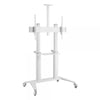 Supporto da Pavimento per TV da 70'' a 120'' Bianco