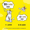 Catisfactions Snack per Gatti gusto Erba Gatta Maxi Pack 180gr