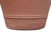 Biscottini Vaso in Terracotta 100% Made in Italy interamente Lavorata a Mano