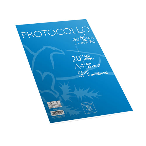Fogli Protocollo A4 5Mm 20Fg 80Gr Pigna