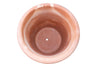 Biscottini Vaso in Terracotta 100% Made in Italy interamente Lavorata a Mano realizzato