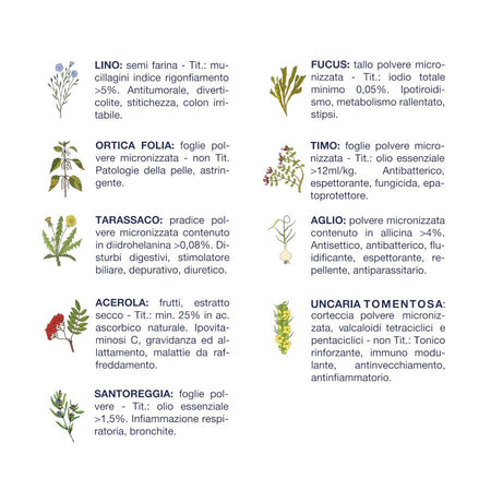 Vet Line mangime Umido Cani linea Salute Anatra e Patate 400 gr