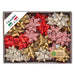 50 Stelle Nastro Ecocarta 15Mmxd6,5Cm Fantasie Assortite Natale Brizzolari