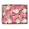 50 Stelle Nastro Carta Erba 15Mmxd6,5Cm Fantasie Assortite Natale Brizzolari