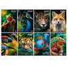 Maxiquaderno A4 80Gr 40+2Fg Rigo Di 3A Animal Pigna