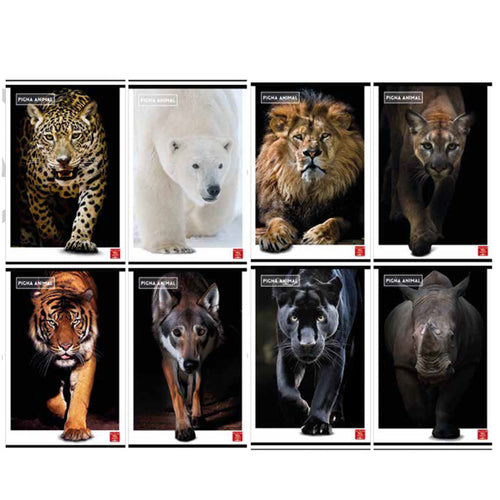 Maxiquaderno A4 80Gr 40+2Fg 5Mm C/Margine Animal Pigna