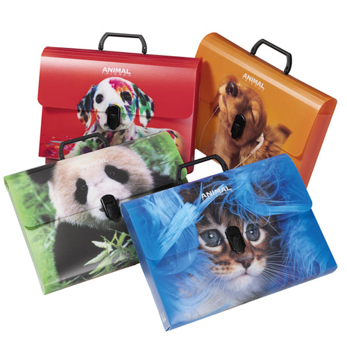 Valigetta Polipropilene Animal Friends Color 28X38 D. 5Cm Fantas. Ass. Colorosa