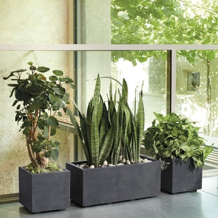 Vaso Cubo - DEROMA - Millennium R - Antracite - Con riserva d'acqua - 25 cm