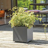 Vaso Cubo - DEROMA - Millennium R - Antracite - Con riserva d'acqua - 25 cm