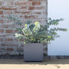Vaso da fiori Cube - DEROMA - Millennium R - Grigio cenere - Autoirrigante - 25 cm