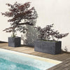 Fioriera Muret - DEROMA - Millennium R - Antracite - Con riserva d'acqua - 79 cm