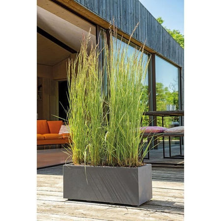 Fioriera Muret - DEROMA - Millennium R - Antracite - Con riserva d'acqua - 59 cm