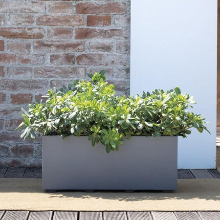 Muret Planter - DEROMA - Millennium R - Grigio cenere - Con riserva d'acqua - 59 cm