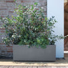 Fioriera Muret - DEROMA - Millennium R - Grigio cenere - Con riserva d'acqua - Ruote - 99 cm