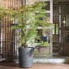 Vaso per fiori - DEROMA - Millennium R - Grigio cenere - Con riserva d'acqua - Altezza 53 cm