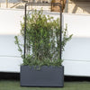 Fioriera Muret - DEROMA - Cosmo - Antracite - Con riserva d'acqua - Ruote - 78 cm