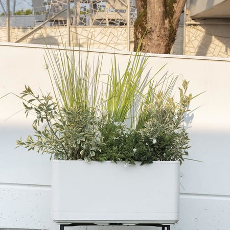Fioriera Muret - DEROMA - Cosmo - Perla - Con riserva d'acqua - Ruote - 78 cm