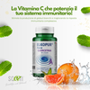 Elkopur Force Quercetina pura, 120 capsule da 500 mg. con 200 mg. di Quercetina titolata 98% in Quercetina, Vegetarian e Vegan ok, Rinforza il sistema immunitario, Antiossidante, prodotto in Italia