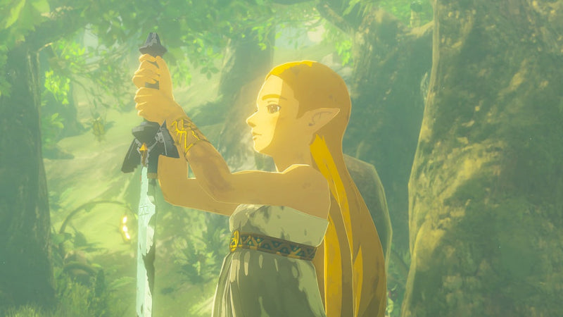 The Legend of Zelda Breath of the Wild Switch 2 Edition ES