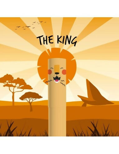 PENNA CANCELLINA LEGAMI ARANCIO LION