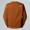 THE NORTH FACE felpa uomo ambra da uomo