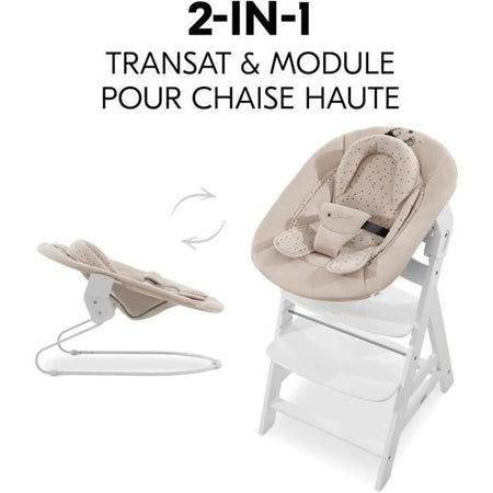 Hauck Alpha Bouncy 2-in-1 Bouncer - Dalla nascita - Cintura di sicurezza a 3 punti - Winnie the Pooh Beige