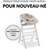 Hauck Alpha Bouncy 2-in-1 Bouncer - Dalla nascita - Cintura di sicurezza a 3 punti - Winnie the Pooh Beige