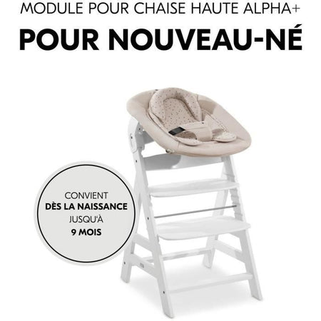 Hauck Alpha Bouncy 2-in-1 Bouncer - Dalla nascita - Cintura di sicurezza a 3 punti - Winnie the Pooh Beige