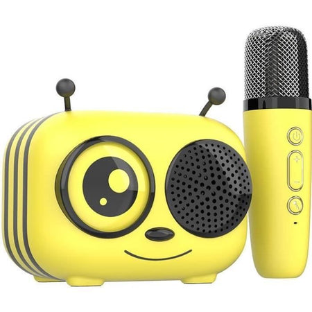 Kit karaoke / Altoparlante Bluetooth e microfono wireless - Termini e condizioni - MAYA, Effetti vocali magici, Durata della batteria di 8 ore, Ricarica USB