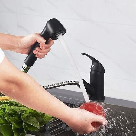 Miscelatore per lavello - BAGO - Doccetta estraibile a 2 getti - Nero opaco - Design classico - Installazione facile