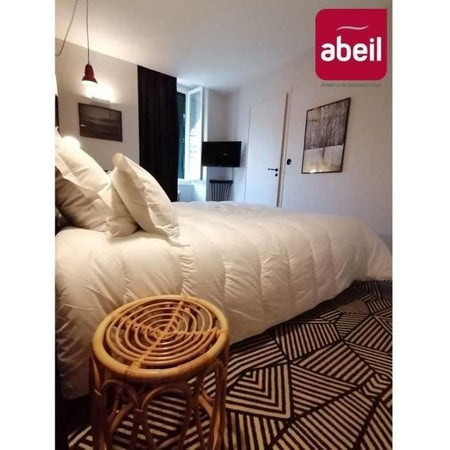 Piumino ABEIL Ultima Comfort 450-200 x 200 cm