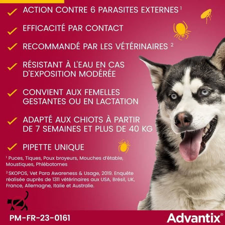 ADVANTIX 6 86.115.956 pipette