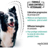 collana dell'insetto avg. cane