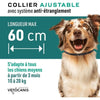 collana dell'insetto avg. cane
