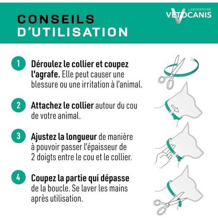 collana dell'insetto avg. cane