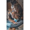 LOVES Mini Toy Plush Cow - For Dog