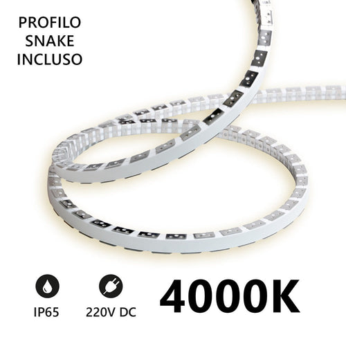 Striscia LED Snake Flex 20m IP65 230V 4000K 11W/m