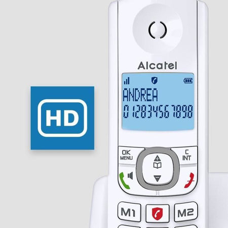 Telefono cordless Alcatel Classic F530 Voice Solo grigio