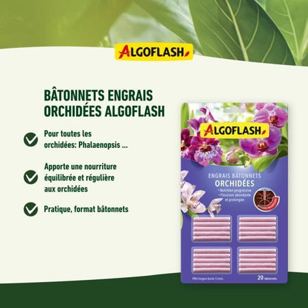 ALGOFLASH - Bastoncini fertilizzanti per orchidee 20 bastoncini