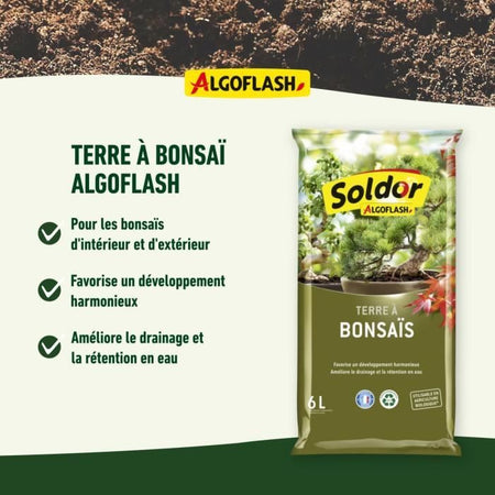 ALGOFLASH - Terreno per Bonsai 6 L