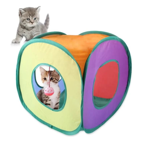 TUNNELL PER GATTO